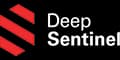 deepsentinel.com